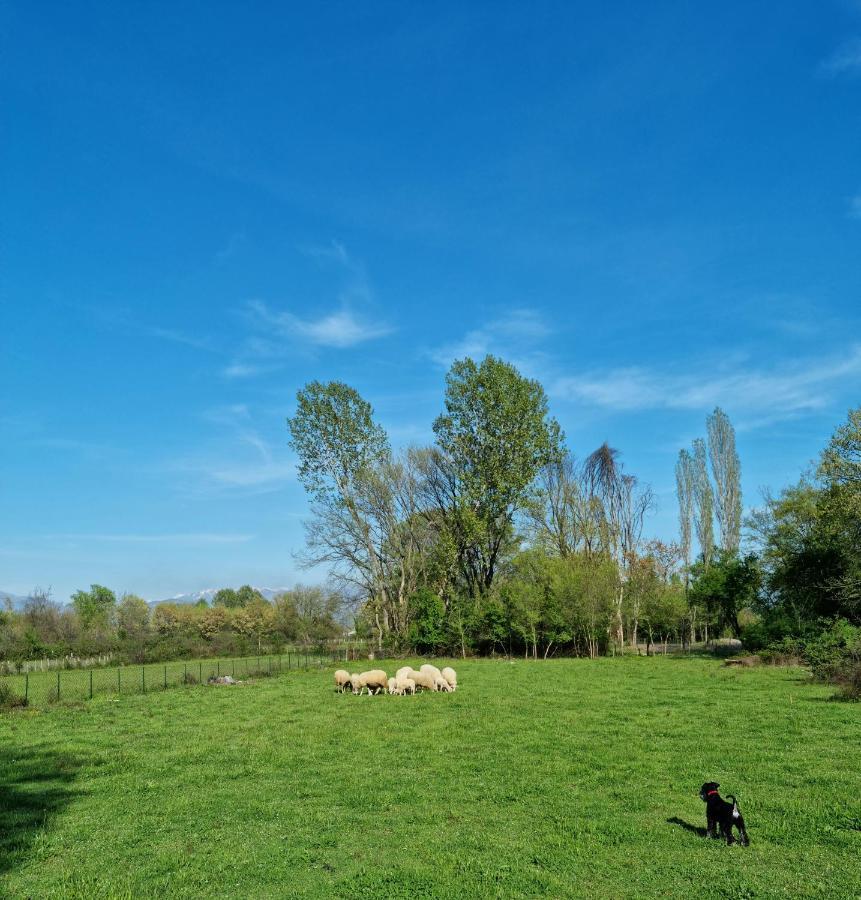 Wolf & Sheep Nature & Adventure Подгорица Екстериор снимка