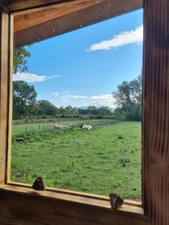 Wolf & Sheep Nature & Adventure Подгорица Екстериор снимка