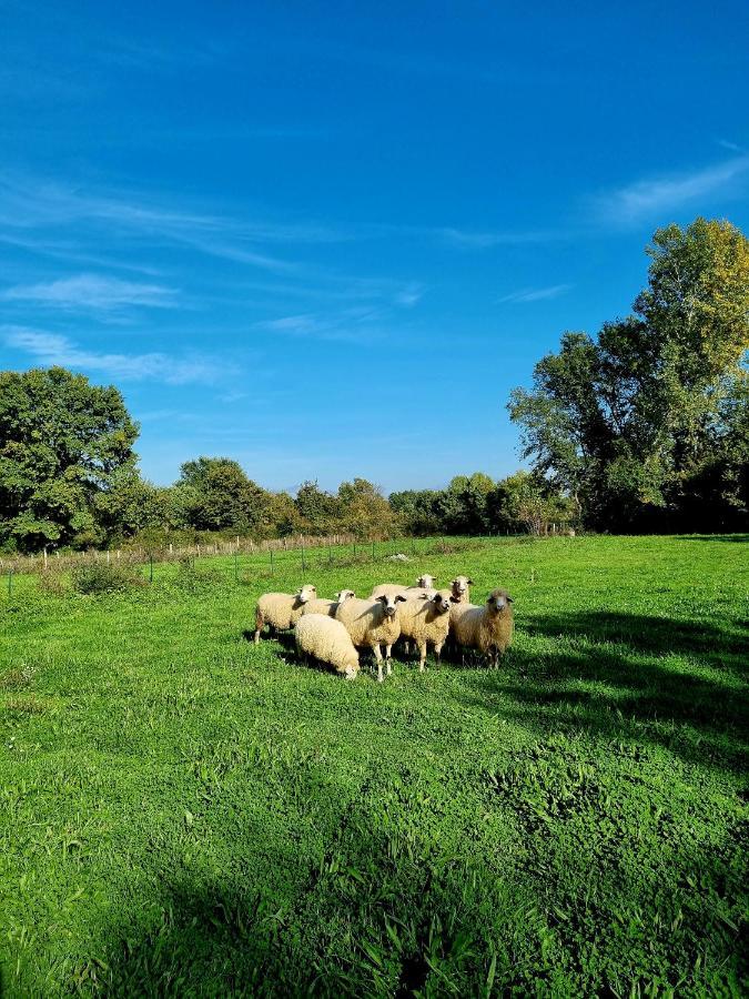 Wolf & Sheep Nature & Adventure Подгорица Екстериор снимка